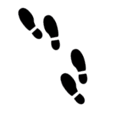 illustration of digital footprints
